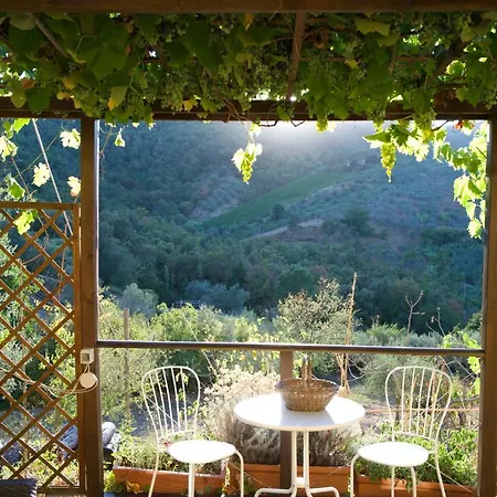 Barco Mediceo In Toscana Bed & Breakfast Carmignano